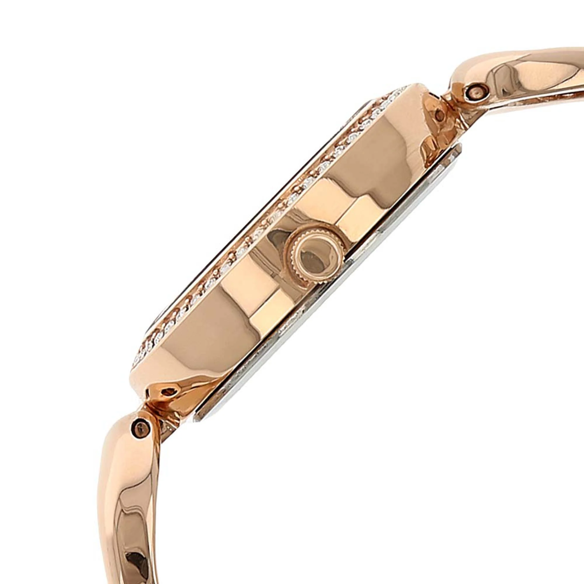 Titan Raga Garden of Eden Mother of Pearl Dial Analog Metal Strap watch for Women - Image 3