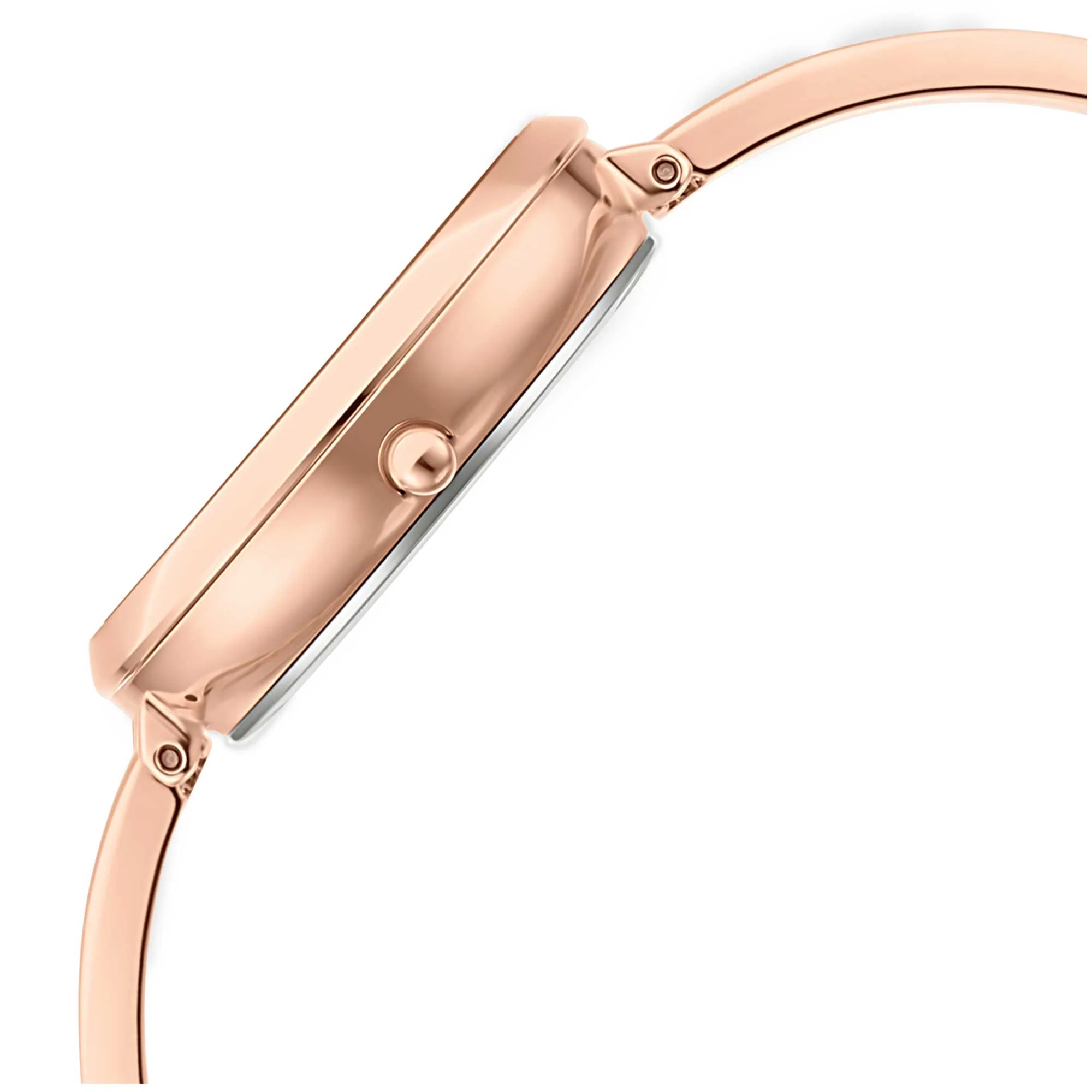 Titan Raga Viva Rose Gold Dial Women Watch With Metal Strap - Image 3